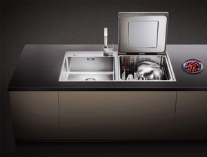 Fotile 3-in-1 In-Sink Dishwasher SD2F-P6