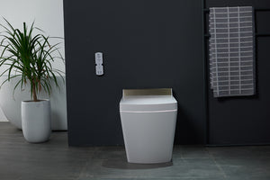 Intelligent Electric Smart Toilet Bidet Suite - SL670