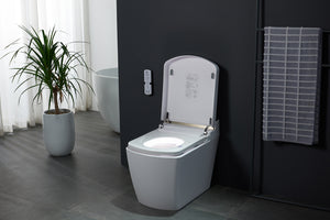 Intelligent Electric Smart Toilet Bidet Suite - SL670