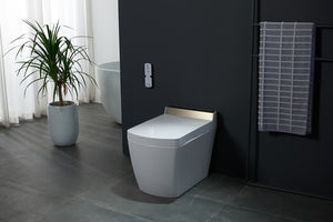 Intelligent Electric Smart Toilet Bidet Suite - SL670