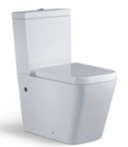 Back To Wall Ceramic Toilet Suite - 2651A