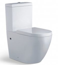 Back To Wall Ceramic Toilet Suite - 2662