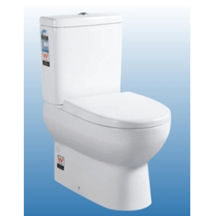 Back To Wall Ceramic Toilet Suite - 6009