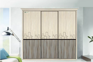 Sliding Wardrobe Door (customize)