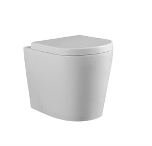 Wall Faced Ceramic Toilet Suite - 6011